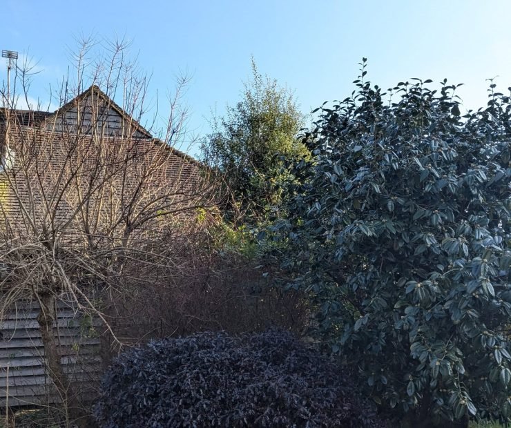 579359679_122099732469110656_2543380015206815055_n