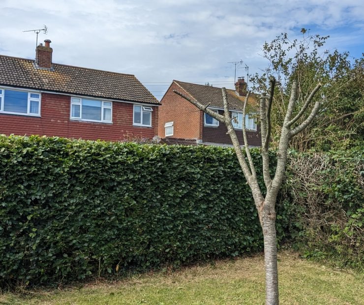 579372324_122099730939110656_6176871750814383354_n