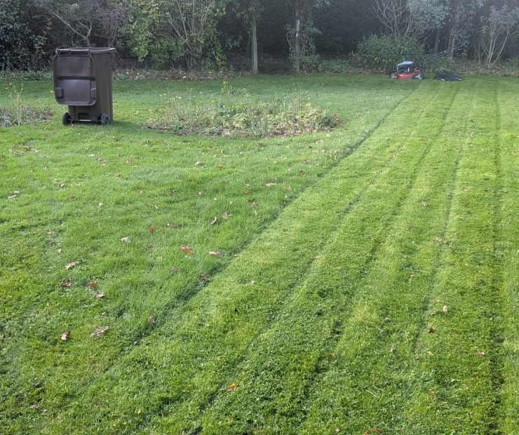 579610823_122103290529110656_2548726334876600672_n