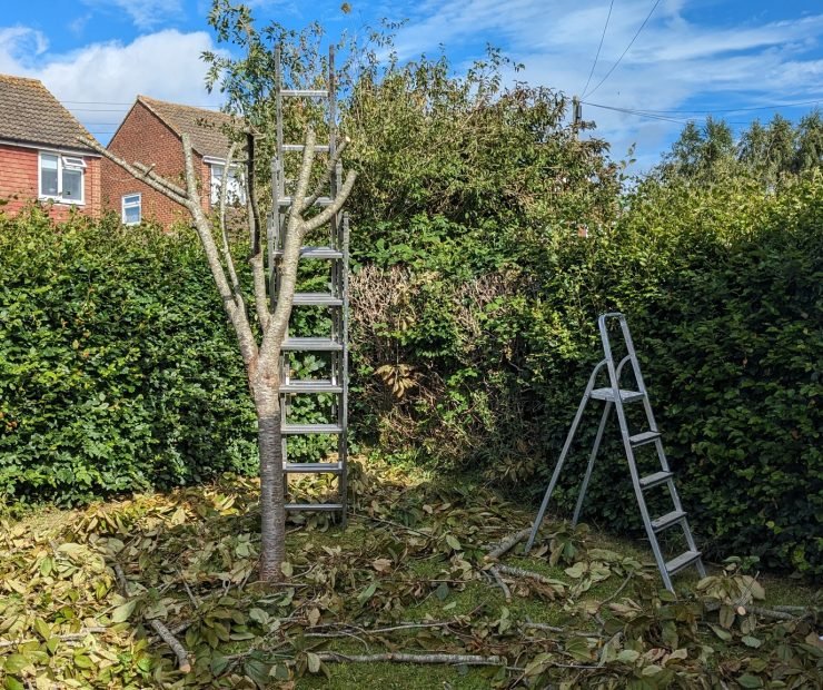 579640112_122099731011110656_1087070353921159241_n