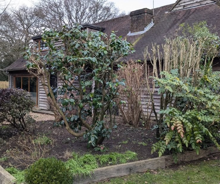 581111179_122099732289110656_2181509657516971149_n