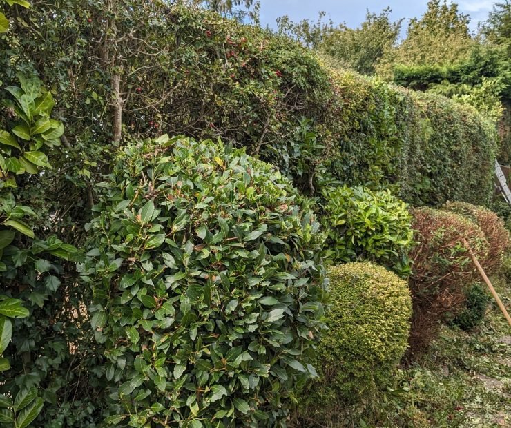 581120444_26145023395086095_2049844758378005897_n