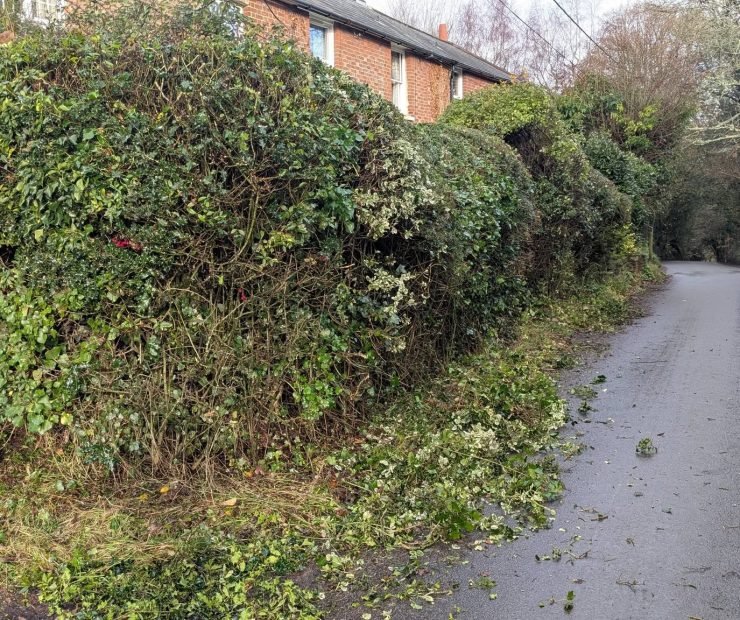 595114049_122108082981110656_5895962041374252924_n