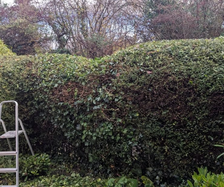 596147041_122108083065110656_1676806306565563062_n